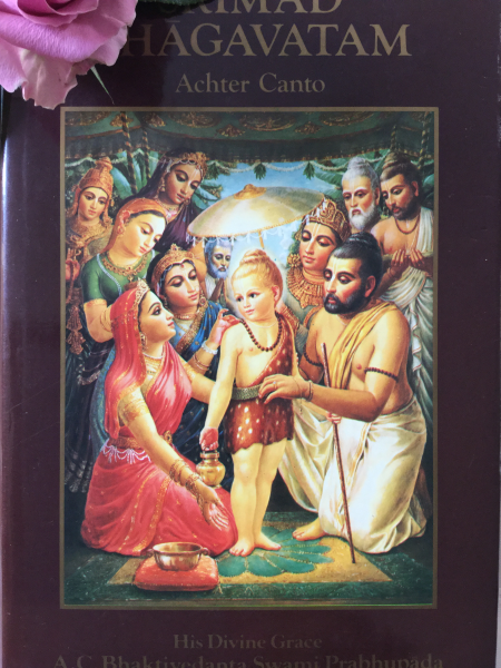 Geschichten aus dem Shrimad Bhagavatam